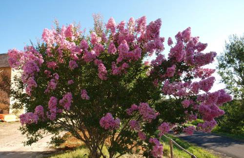 Le Rossignol - La Cipière Gîtes - Foto 18