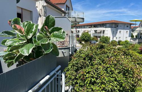 Apartment Studio Green line - Foto 1