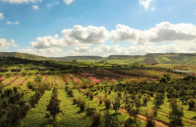Colle San Mauro - Foto 78