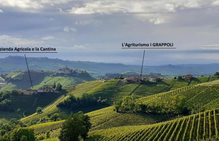 Agriturismo i Grappoli - Foto 11