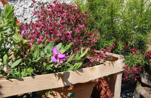 Villa Giuanne - Foto 78