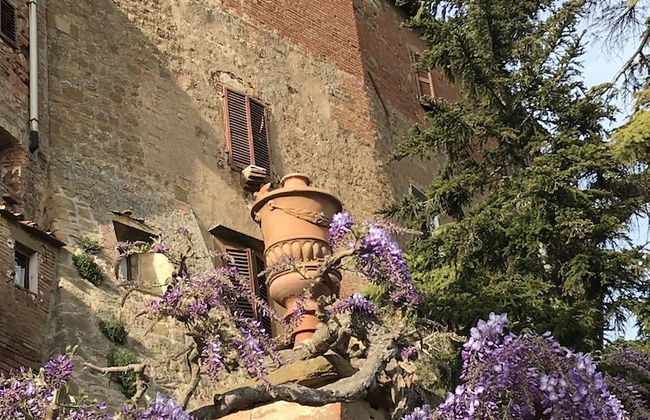 Borgo La Grancia - Foto 44