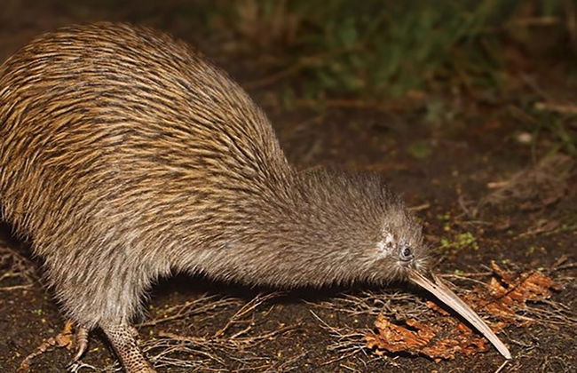 Driftwood Seaside Escapes - Foto 36