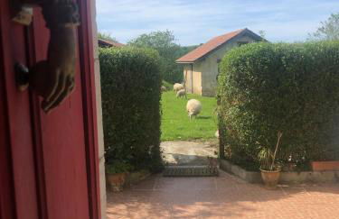 Un écrin dans la nature - Foto 12