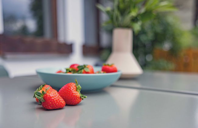 Titisee Haus an der Sonne by Kuckucksnester - Foto 61