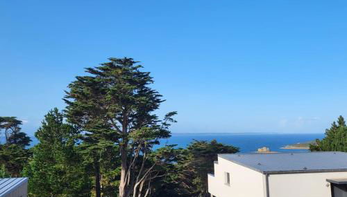 La boite à coucou, Appartement pour 6 personnes, avec jardin , vue mer, à 400 m de la plage pors mabo - Foto 2