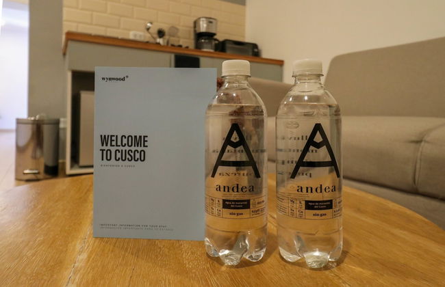 w Beautiful 1BR Near Plaza Mayor de Cusco - Photo 31