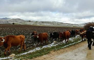 Alojamiento Rural El Peñon de Hornos - Foto 33