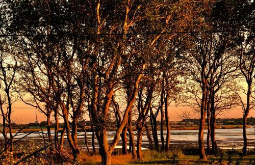 Marsh View Cottage, Aldeburgh - Foto 11