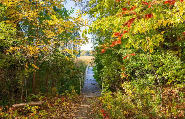 Carlow Manor - Foto 33