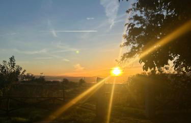 Casa Do Refugio Guest House - Foto 21