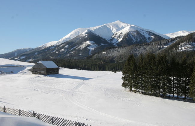 Comfortable Chalet in Hohentauern with Whirlpool near City Center - Photo 38