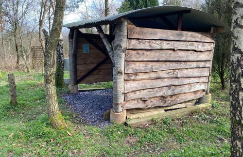Sapphire forest garden shepherd’s hut - Foto 38
