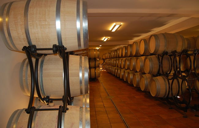 Country Home Dingač - Photo 11