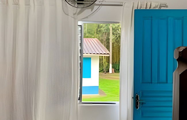 Cottages Bem-te-Vi e Beija-Flor, Mata Atlântica, Pesca, Natureza - Foto 63