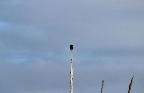 Beach Melody - Foto 30