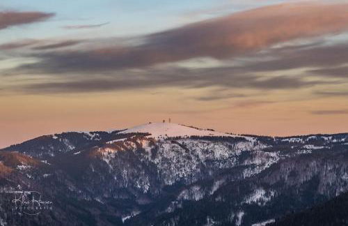 Ferienwohnung Seeblick Nr 5, 2 Zi-Bärental, Feldberg - Foto 14