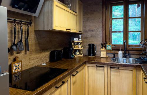 Przytulisko - Dom na Mazurach - Foto 11