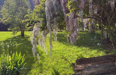 Agriturismo Le Pozze - Foto 43