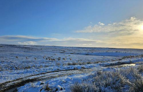 Petty Knowes Cottage - Foto 44