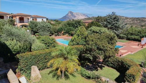 Flamingo's Home - Foto 3, Garden view