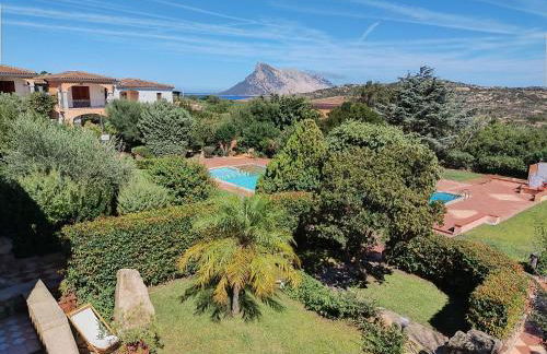 Flamingo's Home - Foto 3