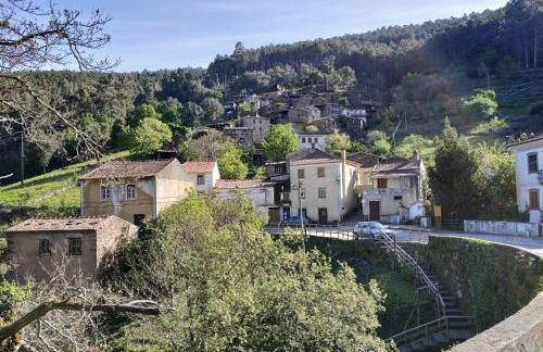 Lousã's Brown & White - Foto 19