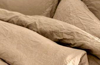 Gemütliche Ferienwohnung in Uelzen mit eigenem Garten - Foto 51