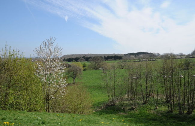 House near Caves of Hotton, L' Ourthe, & Durbuy - Foto 29