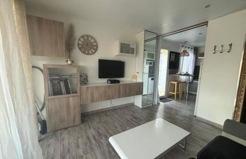 La Salamandre de l Olivier - le Palmier - Foto 7