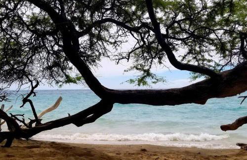 Ohana Beach Retreat at the Surf and Racquet Club - Foto 63