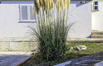 Apartment Elvira by Interhome - Foto 17