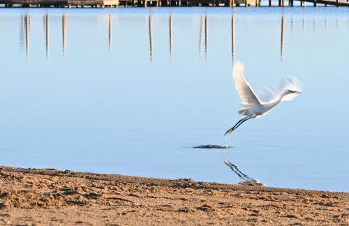 Villa La Mariposa - Foto 39