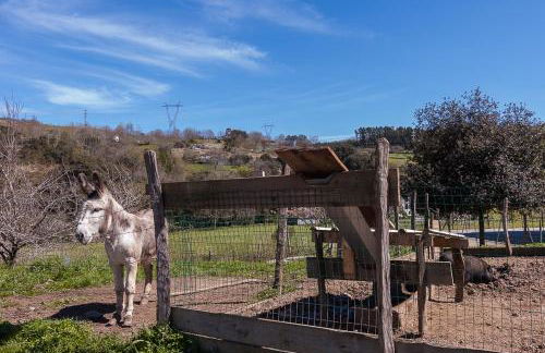 Casa rural Restaurante Aranburu - Foto 27