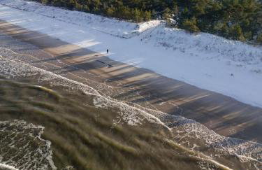 Zen Sasino - Foto 25