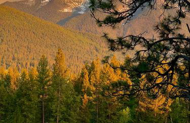 Jocko River Retreat - A Nature Lovers Dream - Foto 35