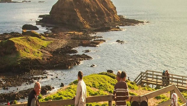 Phillip Island Wildlife and Penguin Parade - Full-Day Tour - Photo 4