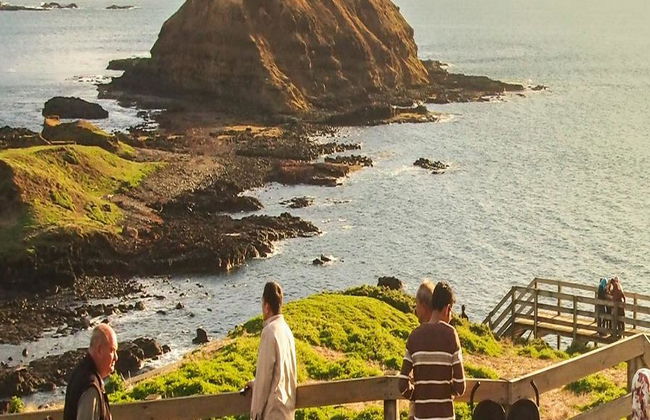 Phillip Island Wildlife and Penguin Parade - Full-Day Tour - Photo 4