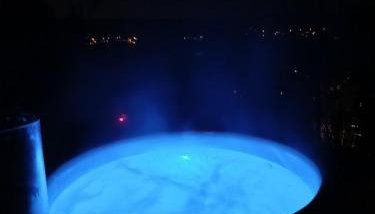 Le Coq de Champagne - Foto 2