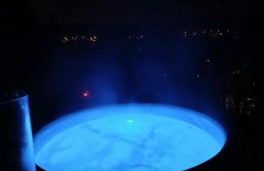 Le Coq de Champagne - Foto 2