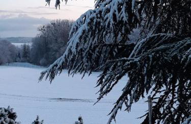 Wolfsschlucht - Foto 17