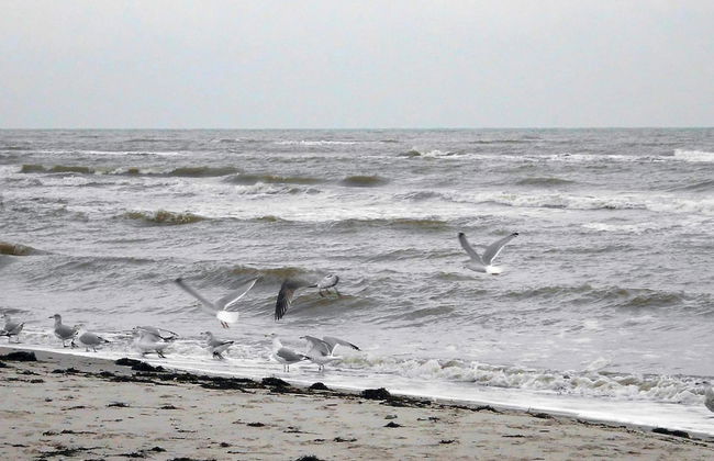 Holiday Home in Grömmitz - Foto 22