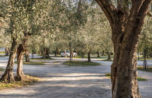 La Terrazza del Lago - Foto 51