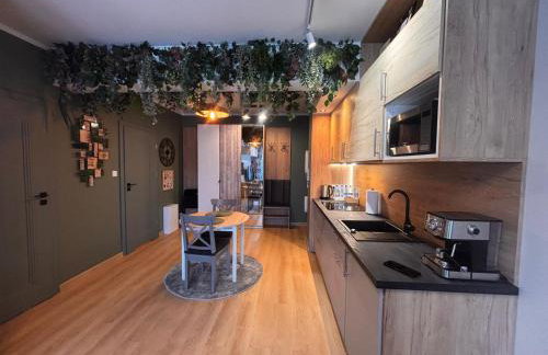 Oliwkowy - stylowy Apartament w naturalnym klimacie - Photo 55