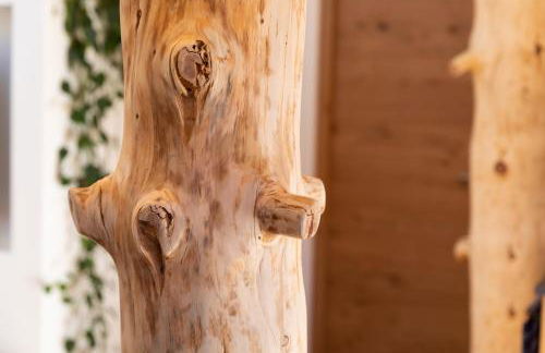 Appartments zum Beck - Foto 33