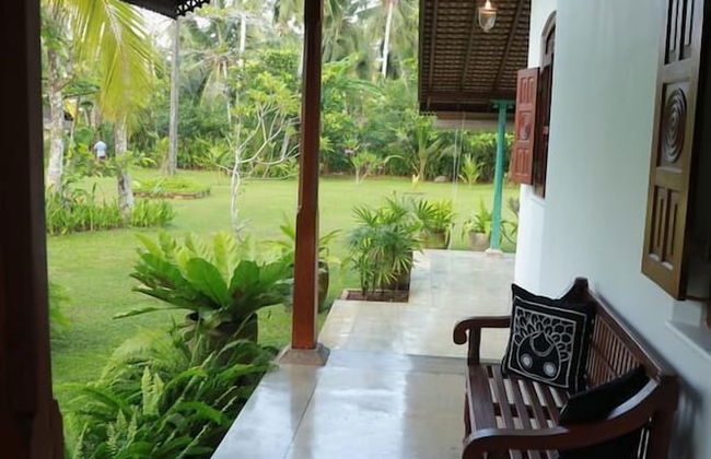 The Ginger House - Photo 18