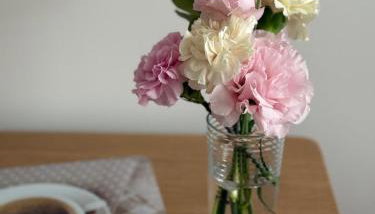 Stacja Kopernik Centrum - Foto 4