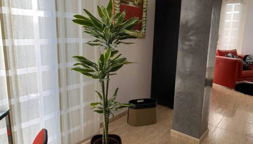 Apartamento Miramar . Amplitud y Comodidad - Foto 4