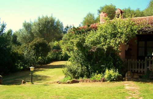 Nurazzolas - Foto 21