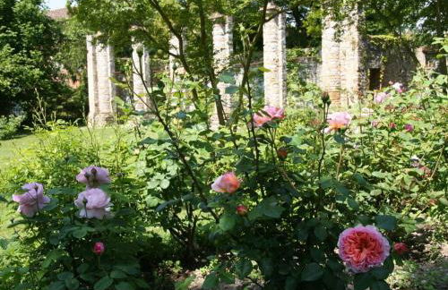 "Vicinia" with garden in the castle - Foto 16